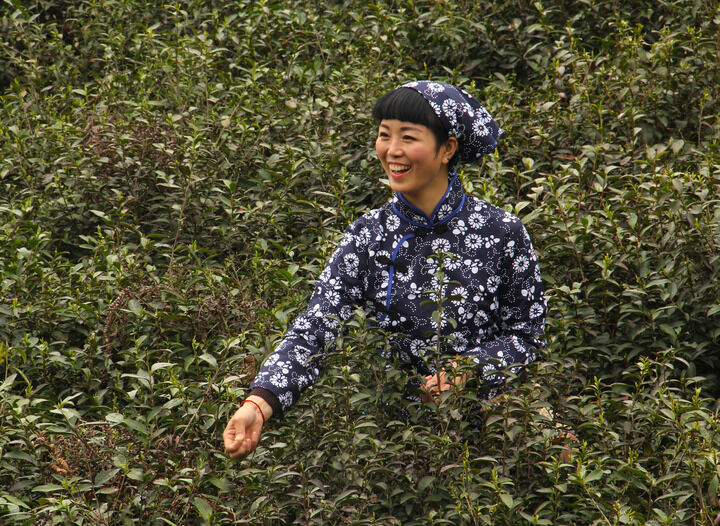 我秀直舞 弹壳艳舞
